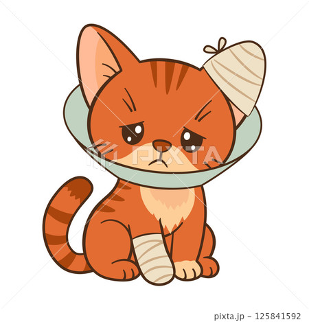 Sad orange tabby cat with cone collar and bandaged paw and ear. Chibi cat Flat style 125841592