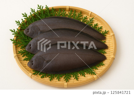 笊に採れたてのシタヒラメ　したひらめ　舌平目 125841721