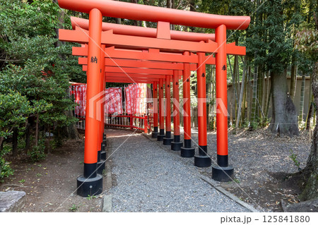 春の常盤神社境内にある春の常盤稲荷神社赤い鳥居郡 125841880
