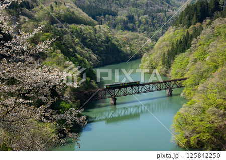 山桜咲く只見川沿いを走る只見線 山桜咲く只見川沿いを走る只見線 125842250