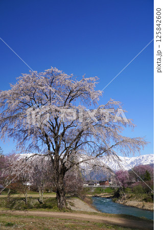 春の大出公園からの眺め 125842600
