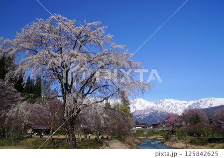春の大出公園からの眺め 125842625