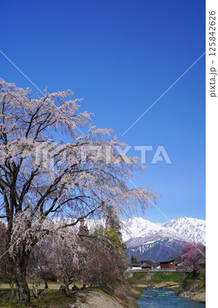 春の大出公園からの眺め 春の大出公園からの眺め 125842626