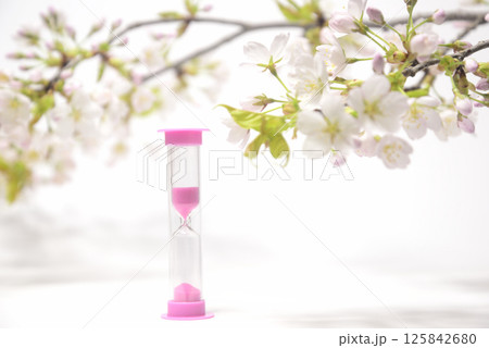 背景素材の砂時計と桜のクローズアップ 背景素材の砂時計と桜のクローズアップ 125842680