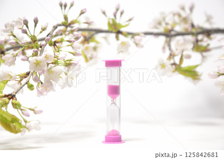 背景素材の砂時計と桜のクローズアップ 125842681