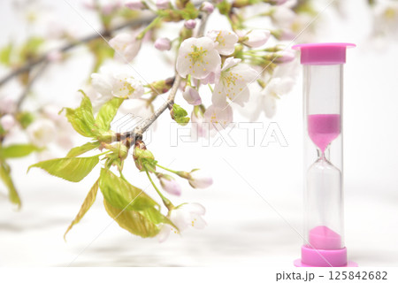 背景素材の砂時計と桜のクローズアップ 125842682