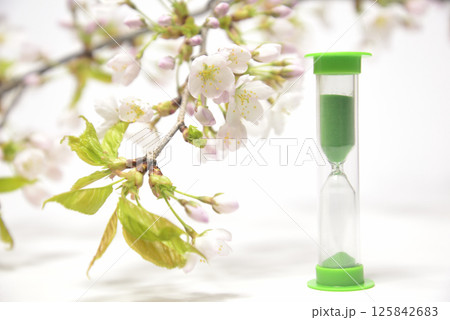 背景素材の砂時計と桜のクローズアップ 125842683