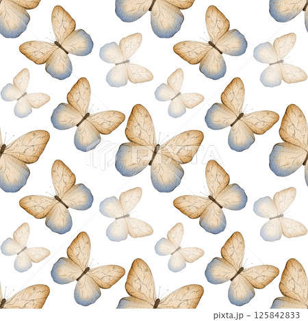 Butterfly seamless pattern 125842833