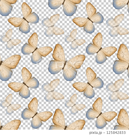 Butterfly seamless pattern 125842833
