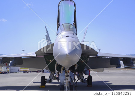 山口県岩国基地のF/A-18戦闘機 125843255
