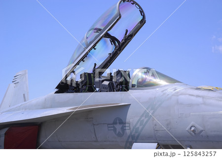 山口県岩国基地のF/A-18戦闘機 125843257
