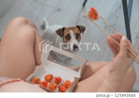 A pregnant woman sits on the sofa and eats rolls. Jack Russell Terrier dog sits on the floor and begs for food from its owner. A pregnant woman sits on the sofa and eats rolls. Jack Russell Terrier dog sits on the floor and begs for food from its owner. 125843688