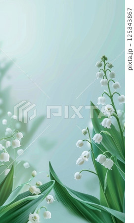 Beauty lily of the valley flower summer spring blossom plant 125843867