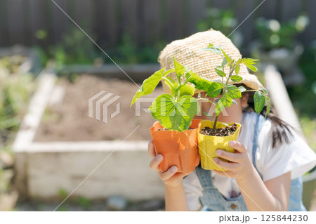 苗を持つ少女 125844230
