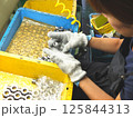 自動車部品製造工場の目視品質検査03 125844313