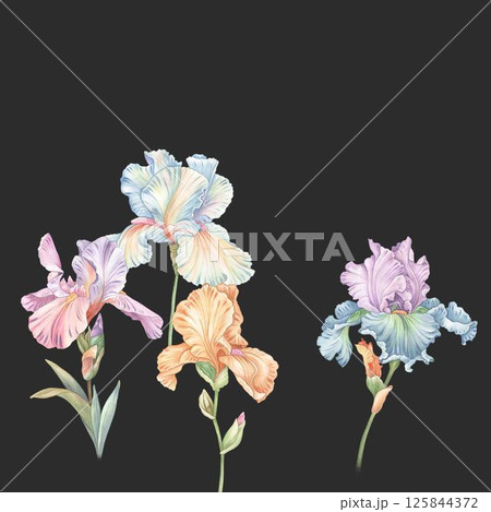 Exquisite Hand Crafted Curly Floral Pattern Compositions Exquisite Hand Crafted Curly Floral Pattern Compositions 125844372