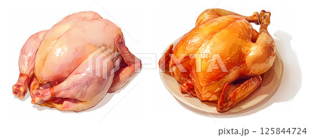 2種類の丸鶏（生&ロースト） 125844724
