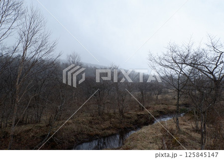 霧の沼ッ原湿原 125845147