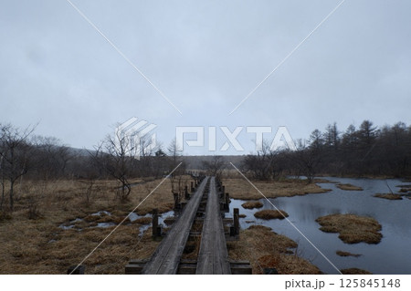霧の沼ッ原湿原 125845148