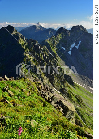 穂高岳から望む北アルプスの峰々 穂高岳から望む北アルプスの峰々 125845638