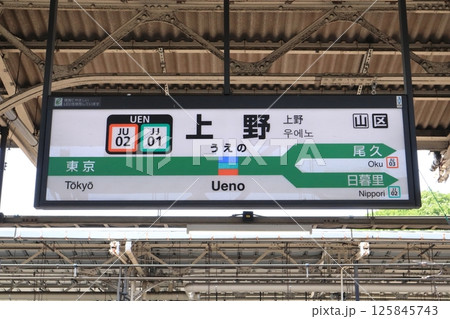 駅名標 上野駅 上野東京ライン 常磐線 下り 駅名標 上野駅 上野東京ライン 常磐線 下り 125845743