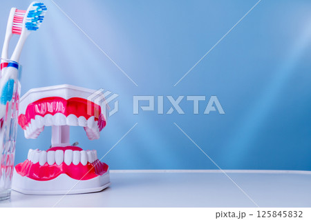 Dental model and toothbrush on blue background highlighting oral hygiene Dental model and toothbrush on blue background highlighting oral hygiene 125845832
