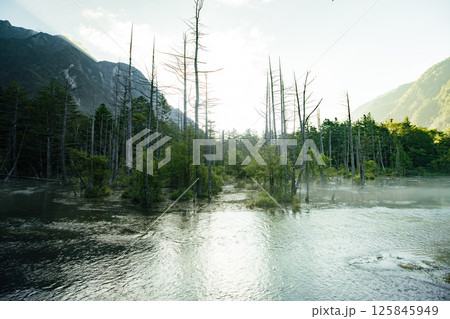 ＜長野＞上高地の絶景　岳沢湿原と六百山 125845949