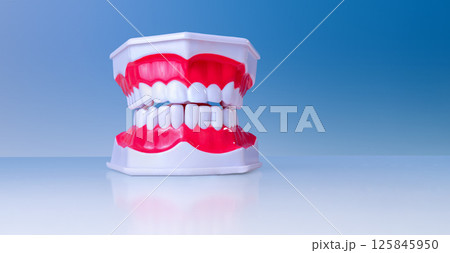 Chattering teeth toy with big red gums on reflective surface against blue background 125845950