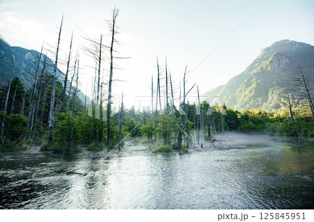 ＜長野＞上高地の絶景　岳沢湿原と六百山 125845951