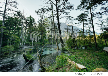 <長野>上高地の絶景 岳沢湿原と六百山 <長野>上高地の絶景 岳沢湿原と六百山 125845956