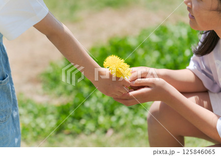 たんぽぽを手渡す女の子 125846065