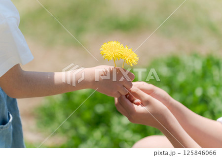 たんぽぽを手渡す女の子 125846066
