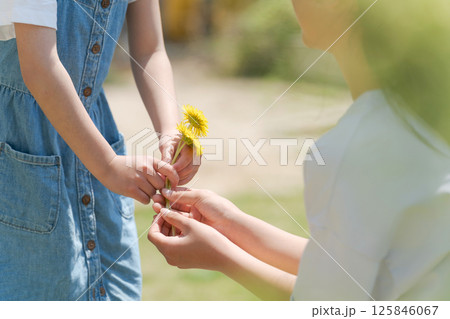 たんぽぽを手渡す女の子 125846067