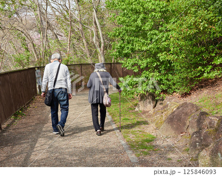 春の公園で散歩するシニア夫婦の姿 125846093