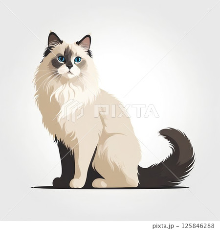 ミディアムロングの被毛がキュートなラグドール ミディアムロングの被毛がキュートなラグドール 125846288