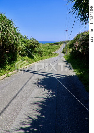 宇佐浜遺跡・周辺風景（沖縄県・国頭村） 125846846
