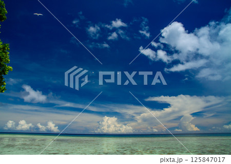 オセアニア・ポリネシアの島国ツバル　首都のフナフティ環礁ファタト島の遠浅なラグーン 125847017