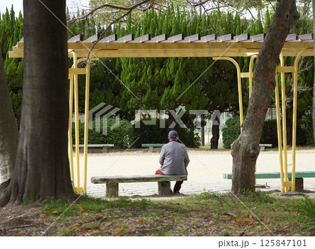 春の公園のベンチで休憩するシニア男性の姿 春の公園のベンチで休憩するシニア男性の姿 125847101