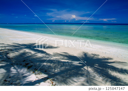 オセアニア・ポリネシアの島国ツバル　首都のフナフティ環礁フォンガファレ島のラグーンとヤシの木の影 125847147