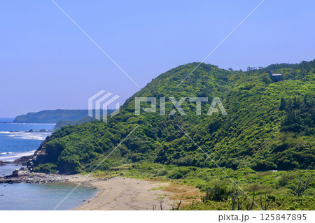 宇佐浜と原生林（沖縄県・国頭村） 125847895