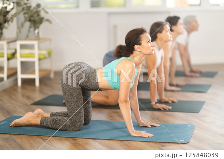 Adult woman doing pilates in group in studio Adult woman doing pilates in group in studio 125848039