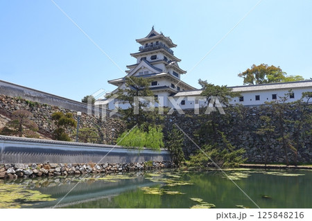 今治城 山里門・高麗門方面からの景色(愛媛県今治市) 今治城 山里門・高麗門方面からの景色(愛媛県今治市) 125848216