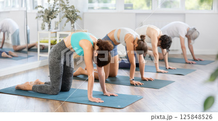 Adult woman doing pilates in group in studio 125848526