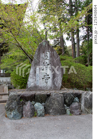 滋賀県大津市にある三井寺の青紅葉がきれいな仁王門横の石柱 滋賀県大津市にある三井寺の青紅葉がきれいな仁王門横の石柱 125848664