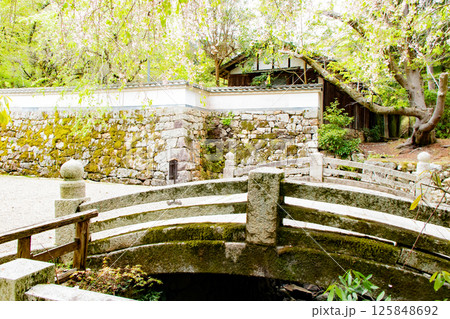 滋賀県大津市にある三井寺の青紅葉がきれいな村雲橋 125848692