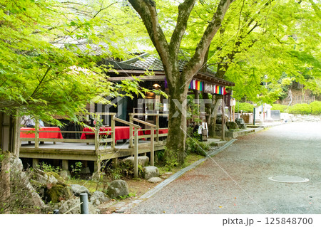 滋賀県大津市にある三井寺内にある青紅葉のきれいな茶屋 滋賀県大津市にある三井寺内にある青紅葉のきれいな茶屋 125848700