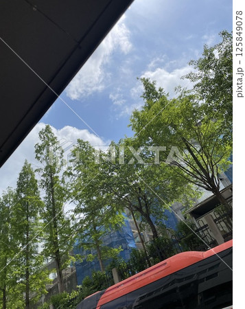 仏歯寺 雲 クラウド 125849078