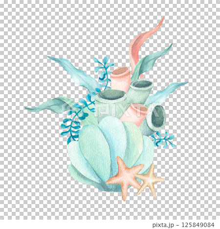 Seashell with algae, starfishes, corals watercolor composition. Hand drawn illustration isolated from background. Underwater seaweed for kids sea design, stationary, typography, aquarium theme poster 125849084