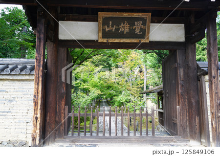 京都鹿王院の門 京都鹿王院の門 125849106