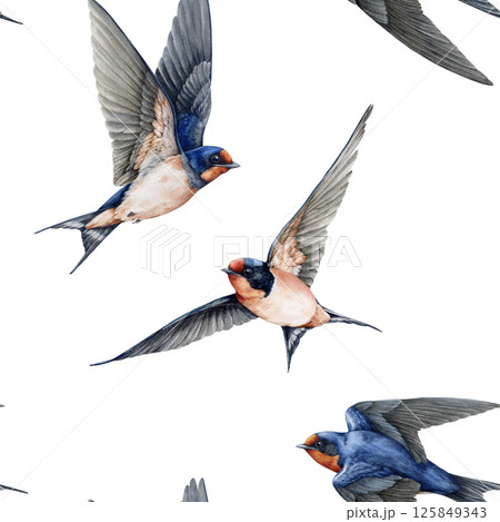 Flying birds seamless pattern decor element. Watercolor painted illustration. Cute barn swallows with spread wings on white background. Wildlife martin birds vintage style decoration element 125849343